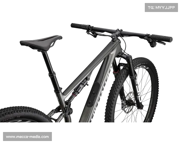 Specialized起诉中国厂商侵权：碳纤维叠层专利案开庭